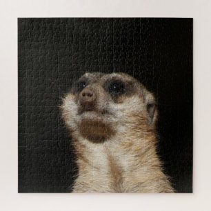 Meerkat 032 jigsaw puzzle