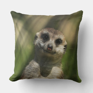 Meerkat 034 cushion