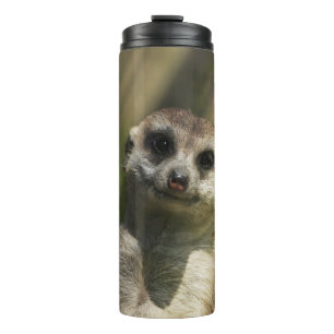 Meerkat 034 thermal tumbler