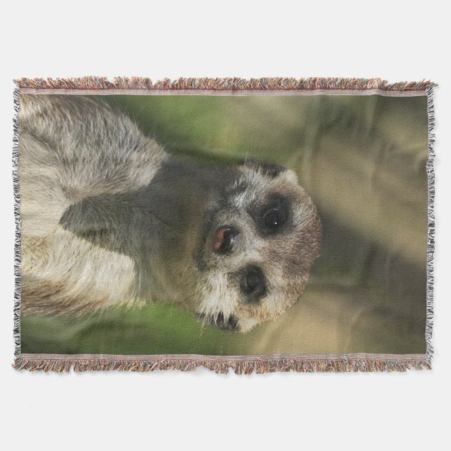 Meerkat 034 throw blanket (Front)