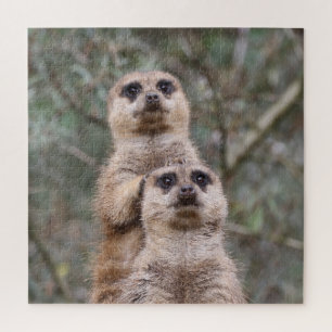 Meerkat 035 jigsaw puzzle