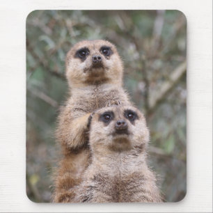 Meerkat 035 mouse pad