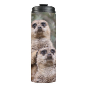 Meerkat 035 thermal tumbler