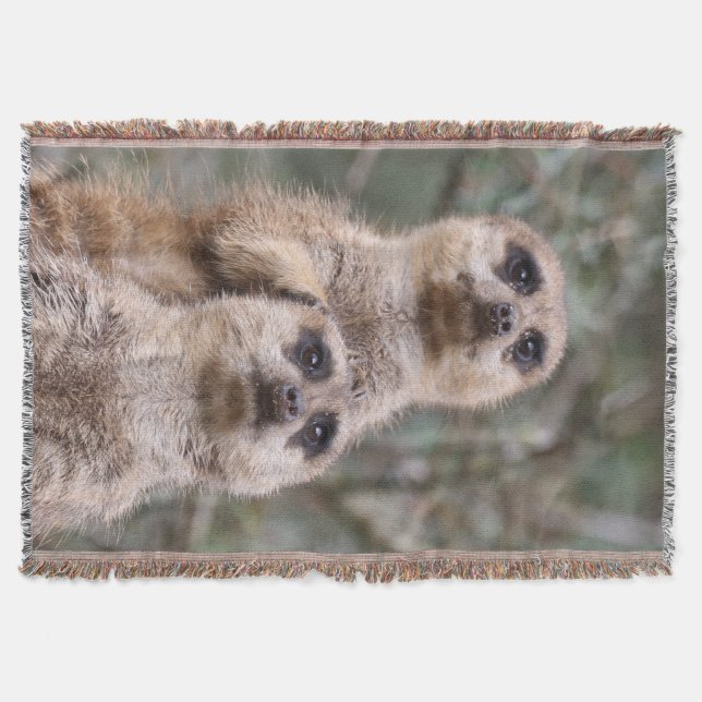 Meerkat 035 throw blanket (Front)