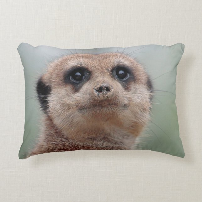 Meerkat 036 decorative cushion (Front)