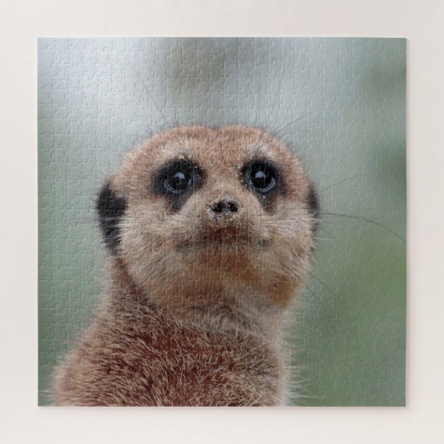 Meerkat 036 jigsaw puzzle (Vertical)