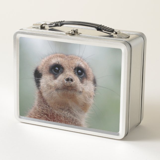 Meerkat 036 metal lunch box (Front)