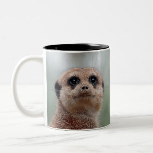 Meerkat 036 Two-Tone coffee mug