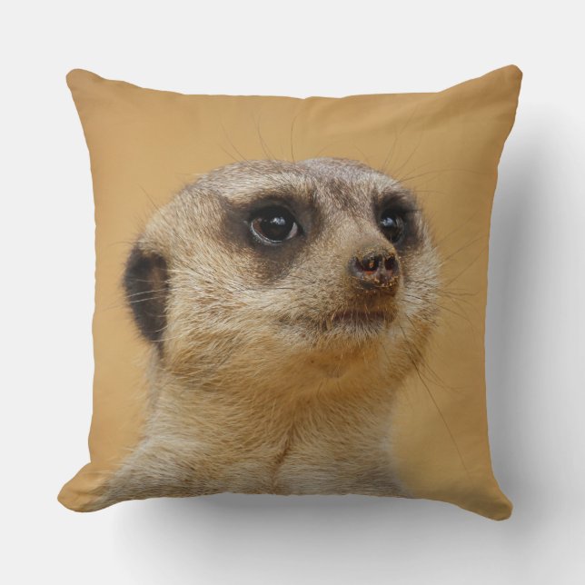 Meerkat 037 cushion (Front)