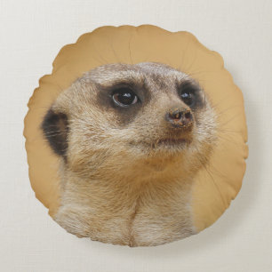 Meerkat 037 round cushion