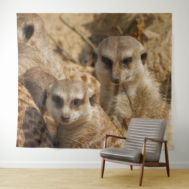 Meerkat 039 tapestry (In Situ (Horizontal))