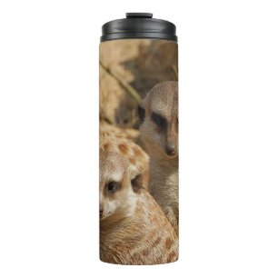 Meerkat 039 thermal tumbler