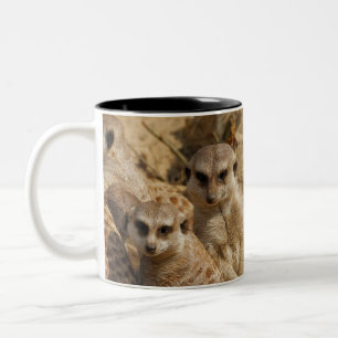 Meerkat 039 Two-Tone coffee mug