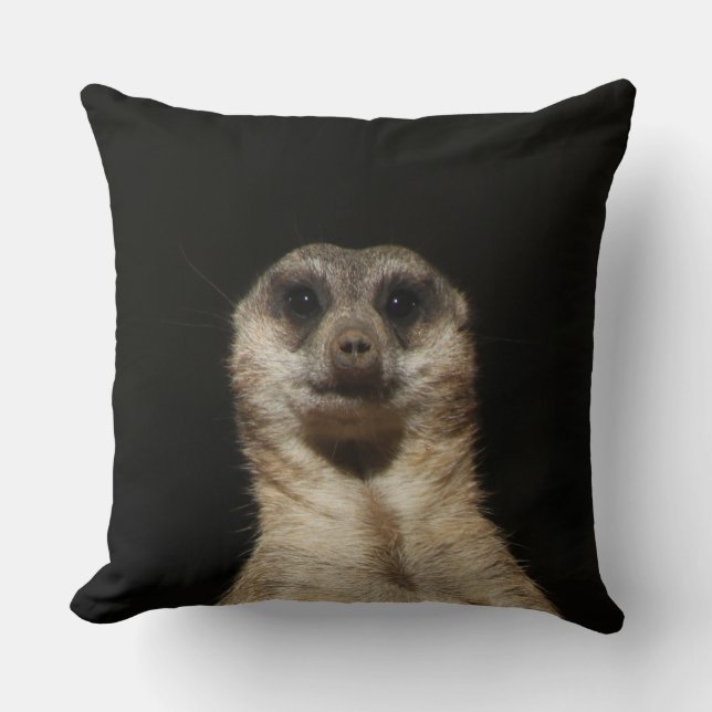 Meerkat 040 cushion (Front)