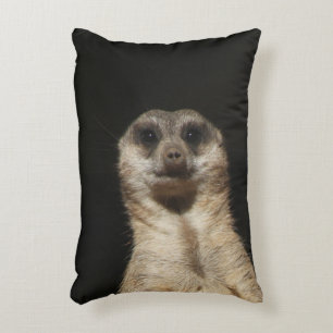 Meerkat 040 decorative cushion