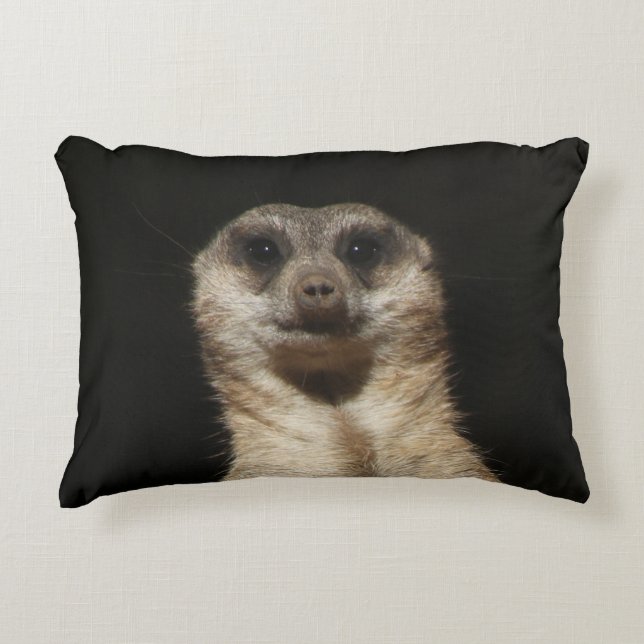 Meerkat 040 decorative cushion (Front)