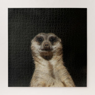 Meerkat 040 jigsaw puzzle