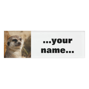 Meerkat 041 name tag