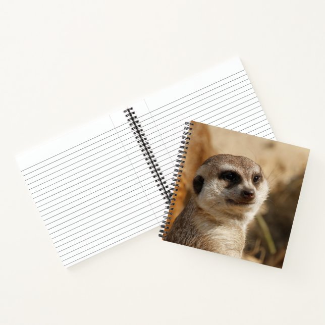 Meerkat 041 notebook (Inside)