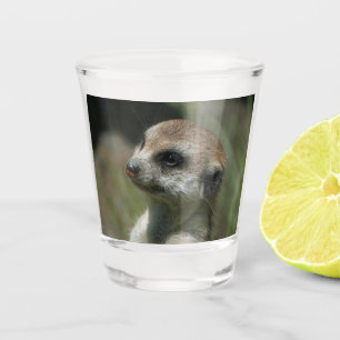 Meerkat 043 shot glass