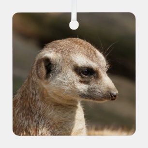 Meerkat 048 metal tree decoration