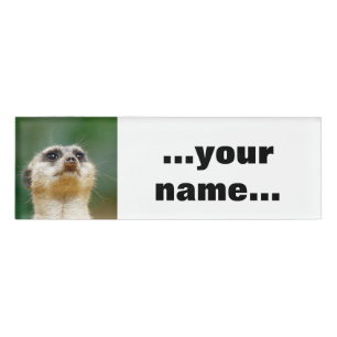 Meerkat 051 name tag