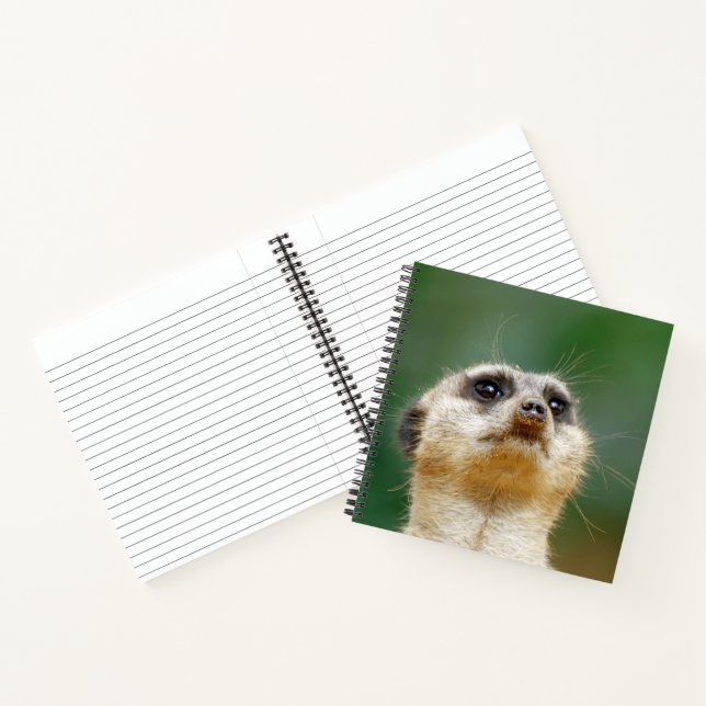Meerkat 051 notebook (Inside)