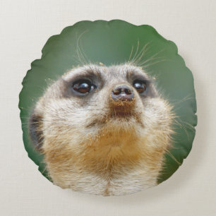 Meerkat 051 round cushion