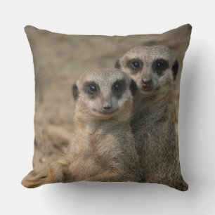 Meerkat 067 cushion