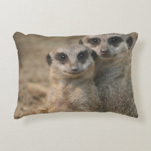 Meerkat 067 decorative cushion
