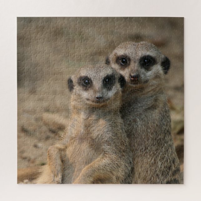Meerkat 067 jigsaw puzzle (Vertical)