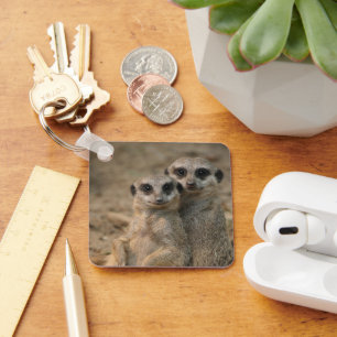 Meerkat 067 key ring