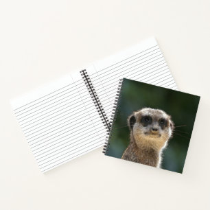 Meerkat 068 notebook