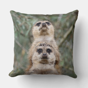 Meerkat 081 cushion