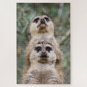 Meerkat 081 jigsaw puzzle