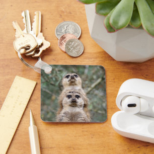 Meerkat 081 key ring