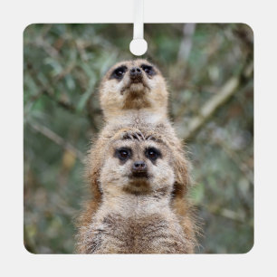 Meerkat 081 metal tree decoration