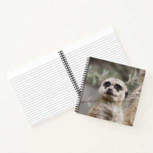 Meerkat 082 notebook