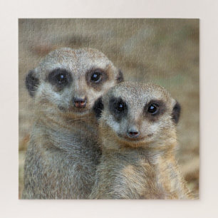 Meerkat 085 jigsaw puzzle