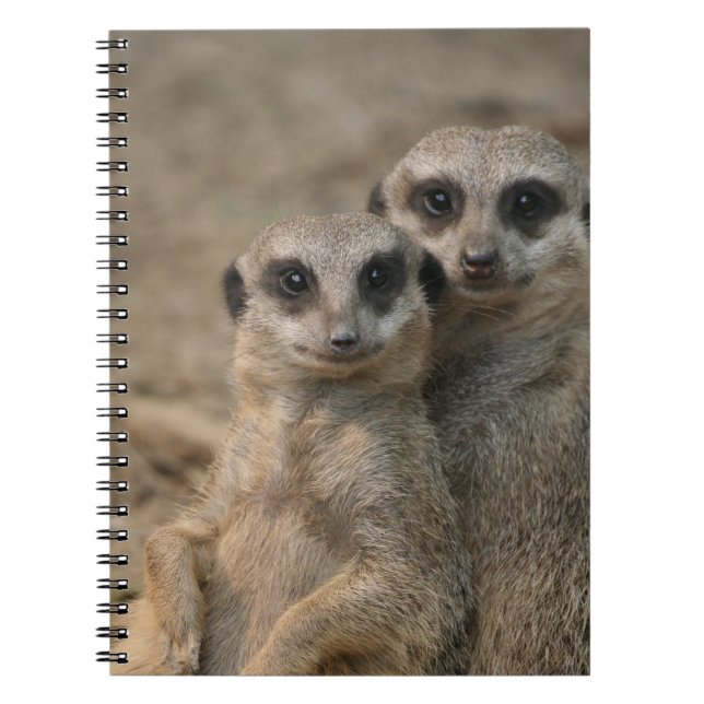 Meerkat 090 notebook (Front)