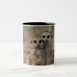Meerkat 090 Two-Tone coffee mug