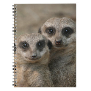 Meerkat 098 notebook