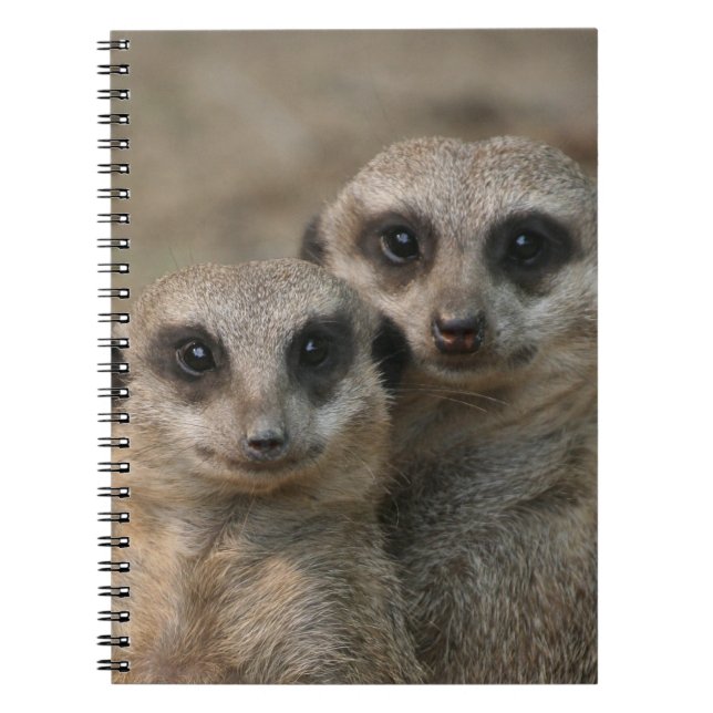 Meerkat 098 notebook (Front)