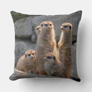 Meerkat 110 cushion