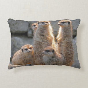 Meerkat 110 decorative cushion