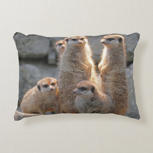 Meerkat 110 decorative cushion (Front)
