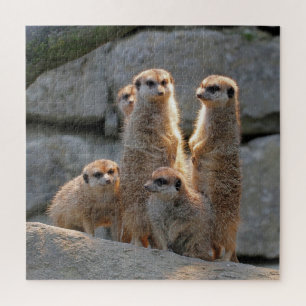 Meerkat 110 jigsaw puzzle