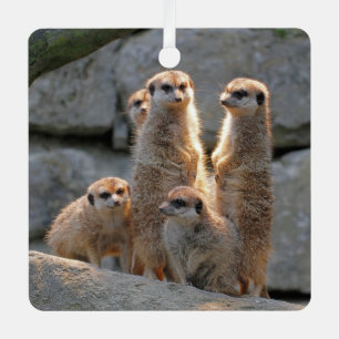 Meerkat 110 metal tree decoration