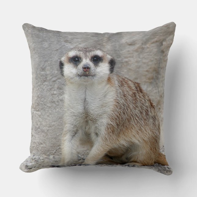 Meerkat 134 cushion (Front)