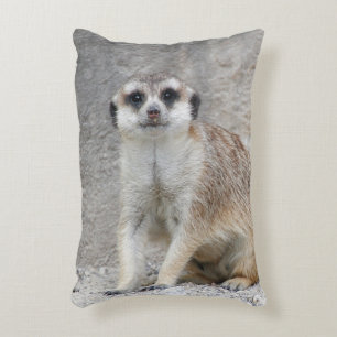 Meerkat 134 decorative cushion
